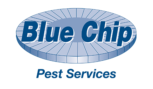 Blue Chip Pest Services