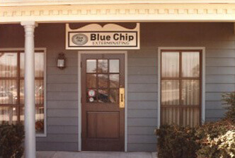 About Blue Chip Pest Control Over The Years Blue Chip Pest Control Has Grown Into One Of Largest Most Respected Services In Country With A Retion For