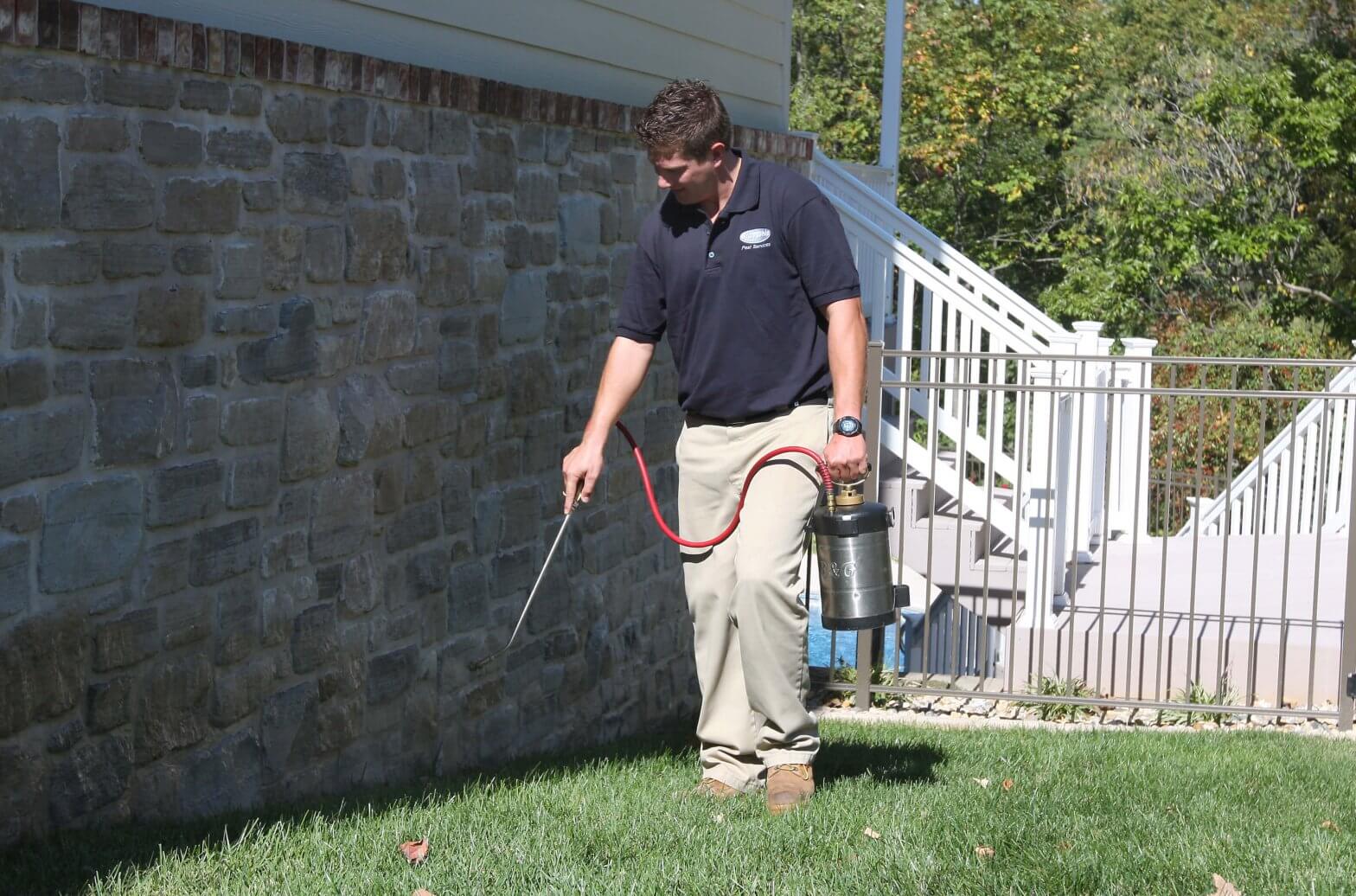 Green Pest Control Is It Effective? Blue Chip Pest Services