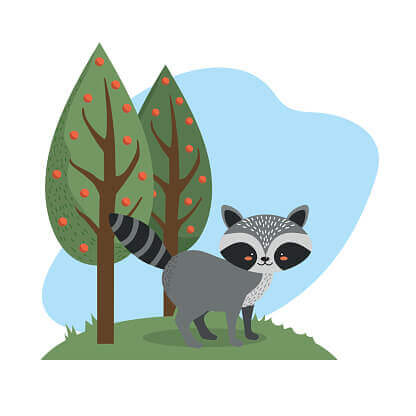 Raccoon & Wildlife Control