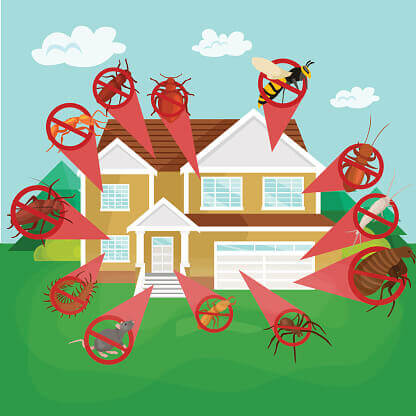 home pest control