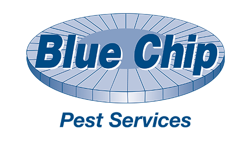 Blue Chip Pest Services - Pest Control and Exterminator Services