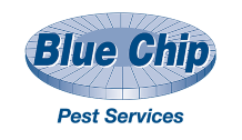 Blue Chip Pest Services - Exterminators in [Fenton, MO]