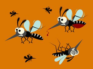 Mosquito Treatments St. Louis
