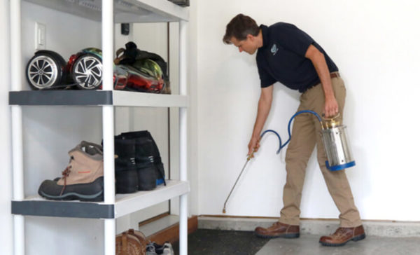 Residential Pest Control Services in St. Louis MO by Blue Chip Pest Services