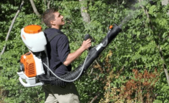 Mosquito Treatment and Control in St. Louis MO - Blue Chip Pest Services